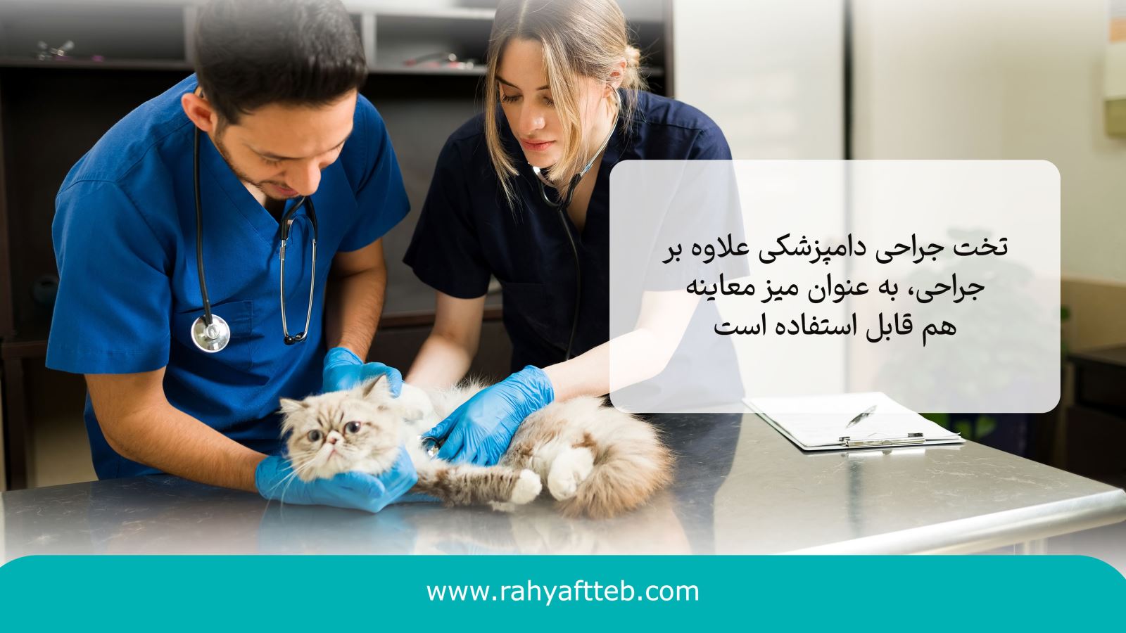 تخت جراحی دامپزشکی