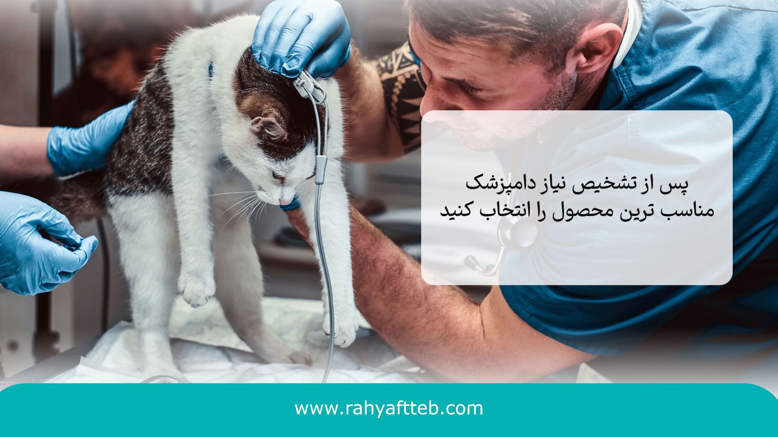 دامپزشکی