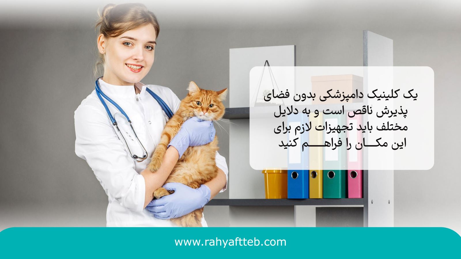 تجهیزات بخش پذیرش در کلینیک دامپزشکی